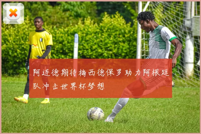 阿连德期待梅西德保罗助力阿根廷队冲击世界杯梦想